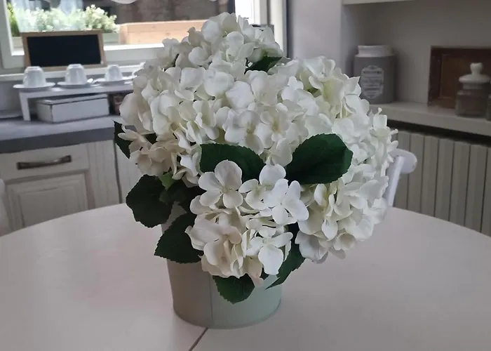 Carducci 4* كومو